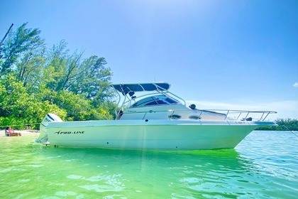 Rental Motorboat Proline 27,40 Miami