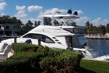 Hire Motor yacht Sea Ray Sea Ray 58 Sedan Bridge Miami