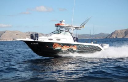 Charter Motorboat Proline 27 Syvota