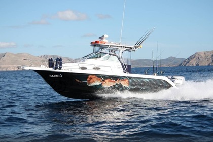 Hire Motorboat PROLINE 27 Syvota