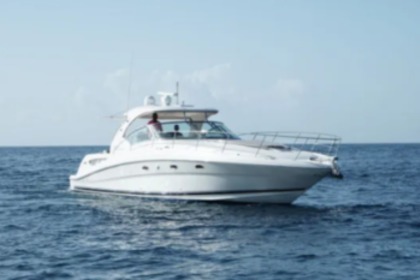 Location Bateau à moteur Sea Ray 42 La Romana