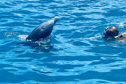 Wooden Sloop that travelled the entire globe