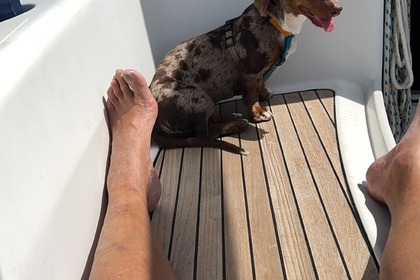 Noleggio Barca a vela Ronautica 400 Lavagna