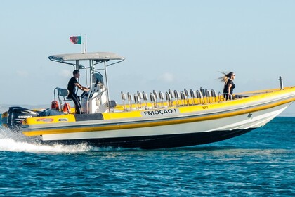 Noleggio Gommone Searibs 1050 Tróia Peninsula