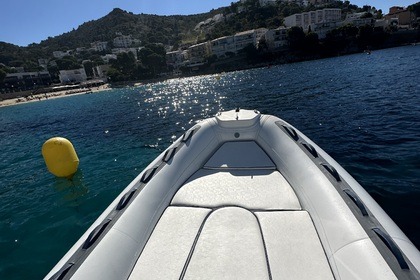 BWS - Six One 10 people