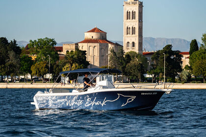 Rental Motorboat White Shark 265 Zadar