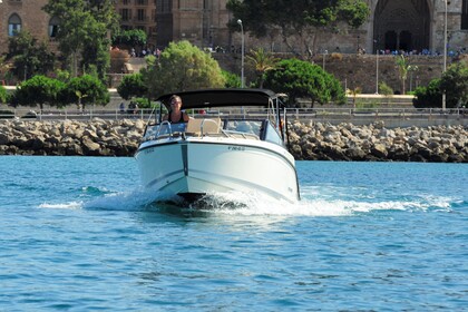 Quicksilver Activ 605 Cruiser 2022