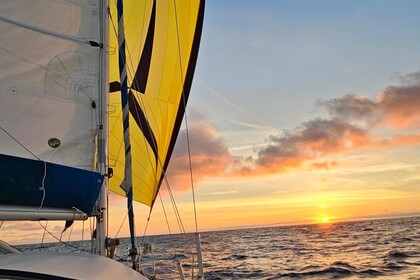 Location Voilier Hallberg Rassy Hr36 Arzon