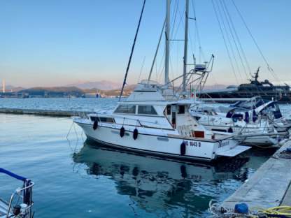 Charter Motorboat Bertram Riva Bertram 38 La Spezia