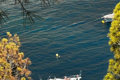 Erleben Sie die Costa Blanca mit einem Exklusiven Tages-Charter