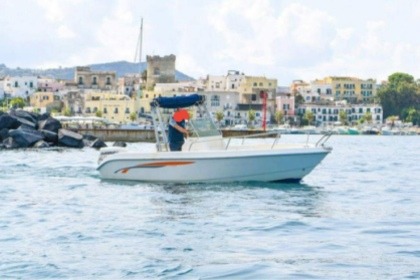Noleggio Barca a motore Terminal Boat Freestyle 21 Forio