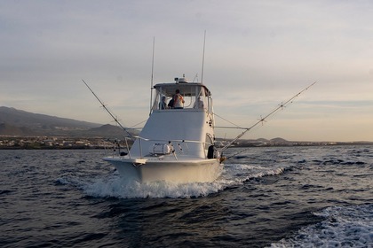 Location Bateau à moteur Luhrs 340 Amarilla Golf