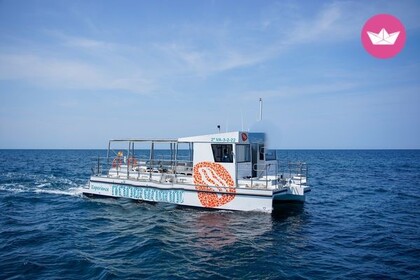 Hyra båt Motorbåt mundo marino modelo 50 Valencia