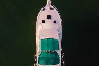 Luhrs 34 Sportfisher