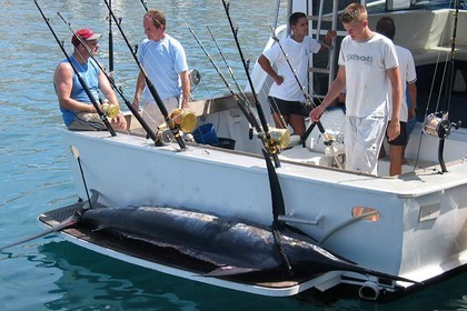 Чартер Моторная яхта Striker 44 SP Sport Fisherman Лос-Кристианос