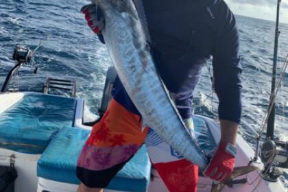 Rondleidingen en safari's in Panama