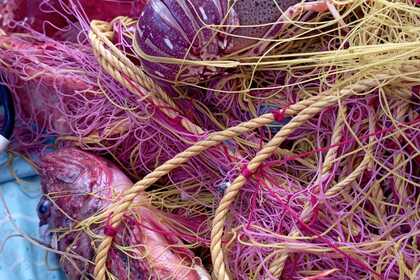 Fishing Trips Saronic 830