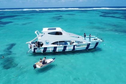 Location Yacht à moteur LUXURY CRUISE FOR ANY EVENT PARTY RENTED BY OWNER sun odyssey Punta Cana