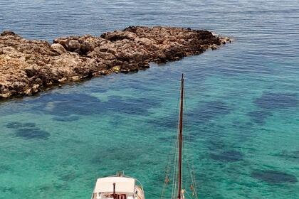 Hire Motorboat Salidas en grupo S:agaro Palma de Mallorca