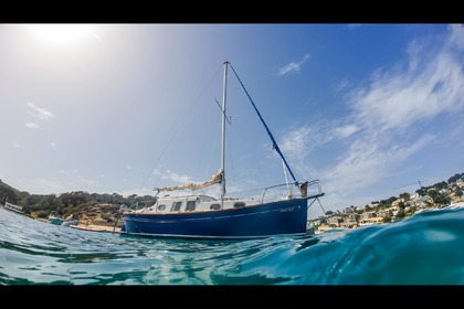 Alquiler Velero Myabca Delfin Palma de Mallorca