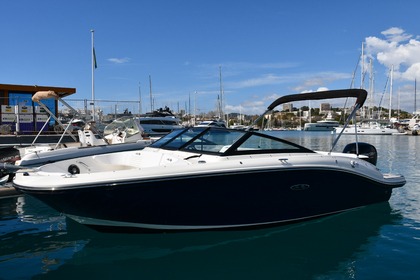 Hire Motorboat Sea Ray 190 Sport 2023 Nice