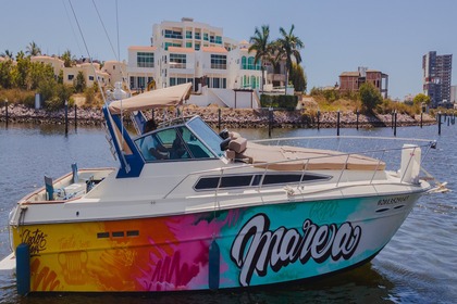 YOSSELIN. Sea Ray 420 Sundancer