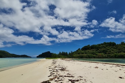 Daily private boat excursions