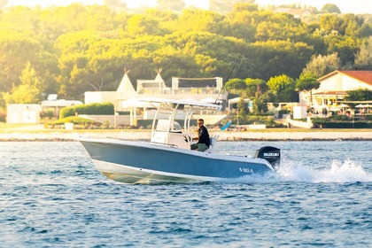 Hire Motorboat Viga Viga 22 Medulin