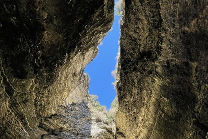 Stylmer Black Pearl 10M 500Cv