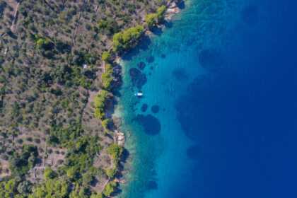 ***ONLY HALF-DAY TOURS***