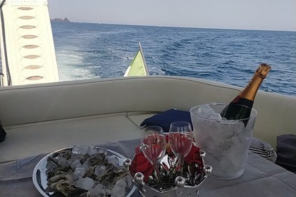 Miete Motorboot Sealine 360 Sport Ambassador Catania