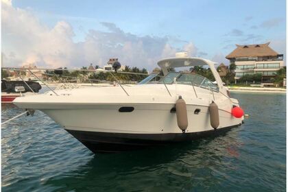 Rental Motorboat Sea Ray 40 Cancún
