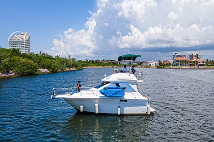 Noleggio Barca a motore Sea Ray 300 sedan Mazatlán