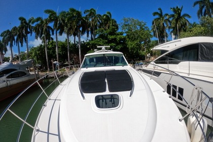 Rental Motorboat Sea Ray Sundancer 500 Hotel Zone