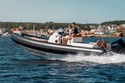 Charter RIB Zodiac Zodiac medline 7.5 L'Estartit