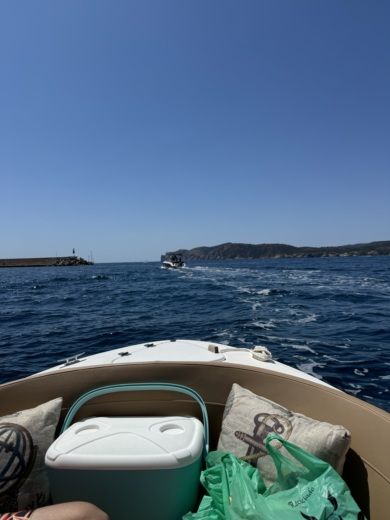 Μαγιόρκα Without license Marion 500 Classic alt tag text