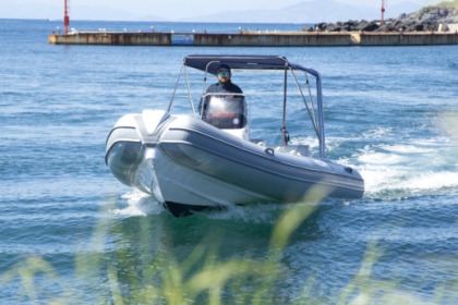 Noleggio Barca senza patente  Predator 570 (4) Ischia