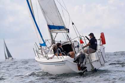 Rental Sailboat SASANKA VIVA 700 Porto