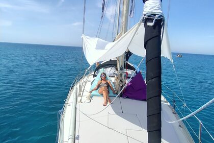 Cisne Negro (North Wind 435)