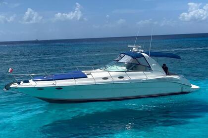 Location Yacht à moteur Searay 41 Sundancer Cozumel