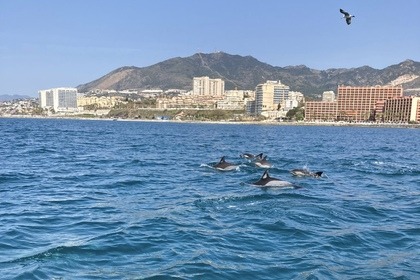 BARCO SIN LICENCIA FÁCIL MANEJO