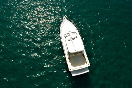 Noleggio Barca a motore Lever 30 Porto Ercole