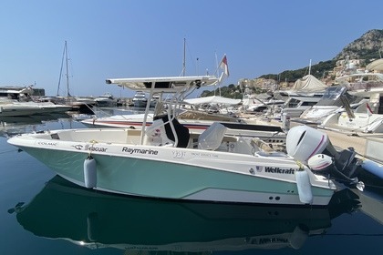 Charter Motorboat Wellcraft 242 Monaco