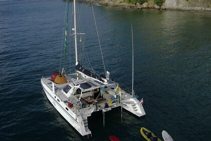 Noleggio Catamarano catana catana 42S Martinica