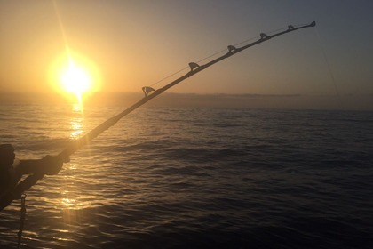 Pesca paseo Marbella