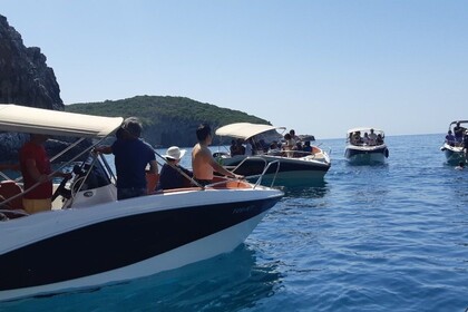 OKI Barracuda 686 WA