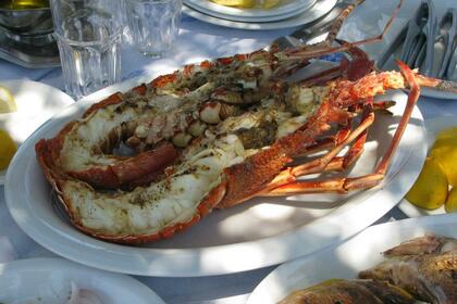 Spend an unforgettable day in Santorini with Santa Maria