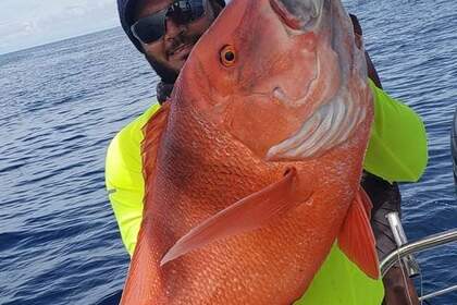 PRASLIN: COMBO FISHING WITH EXOTIC CREOLE BBQ + SNORKELING