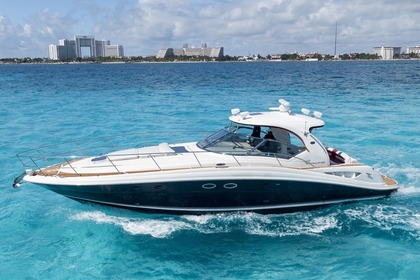 Miete Motorboot Sea Ray Sundancer Cancún