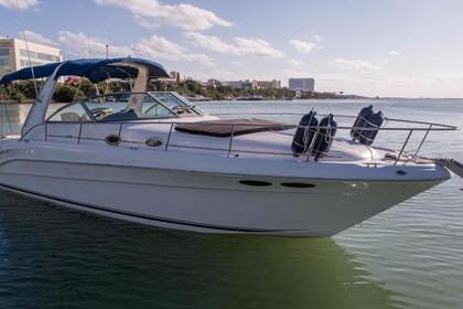 Charter Motorboat Sea Ray 35 Cancún